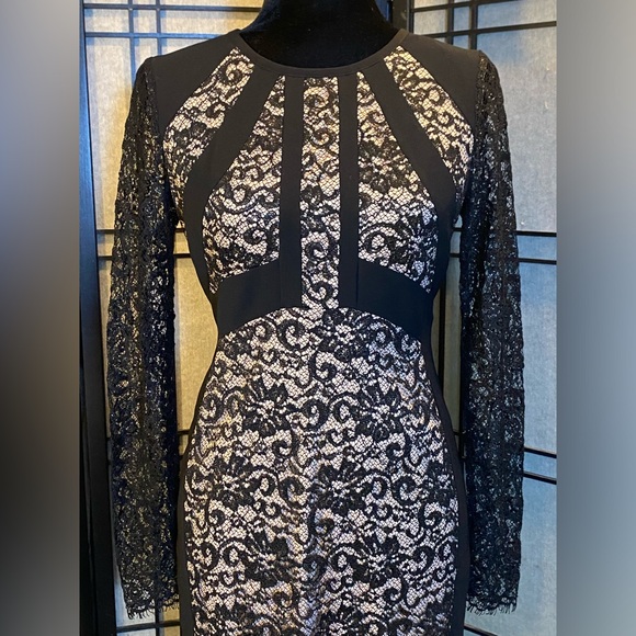 Ivanka Trump Black & Nude Cocktail Dress Size 4 Lace & Glitter Silhouette Midi - Picture 2 of 11